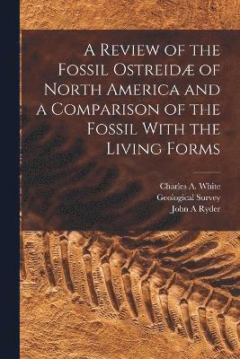 bokomslag A Review of the Fossil Ostreid of North America and a Comparison of the Fossil With the Living Forms