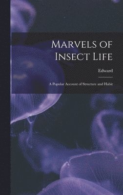 bokomslag Marvels of Insect Life; a Popular Account of Structure and Habit