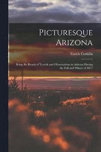 bokomslag Picturesque Arizona