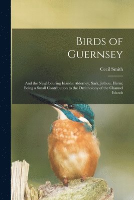 bokomslag Birds of Guernsey