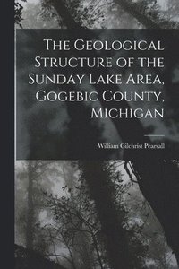 bokomslag The Geological Structure of the Sunday Lake Area, Gogebic County, Michigan