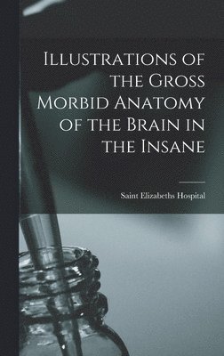 bokomslag Illustrations of the Gross Morbid Anatomy of the Brain in the Insane