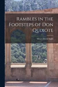 bokomslag Rambles in the Footsteps of Don Quixote