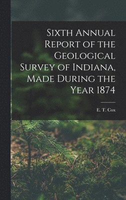 bokomslag Sixth Annual Report of the Geological Survey of Indiana, Made During the Year 1874