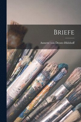 Annette Von Droste-Hülshoff - Briefe, Häftad