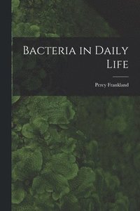 bokomslag Bacteria in Daily Life