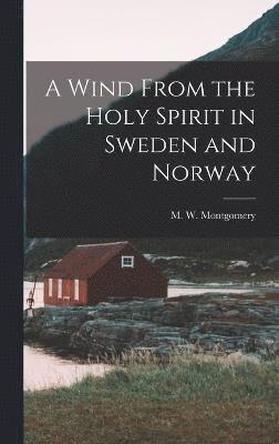 bokomslag Wind From the Holy Spirit in Sweden and Norway