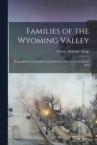 bokomslag Families of the Wyoming Valley