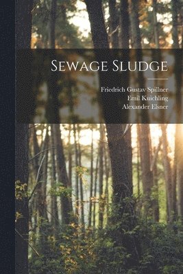 bokomslag Sewage Sludge