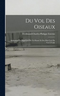 Du Vol Des Oiseaux 1