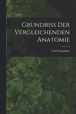 bokomslag Grundriss Der Vergleichenden Anatomie