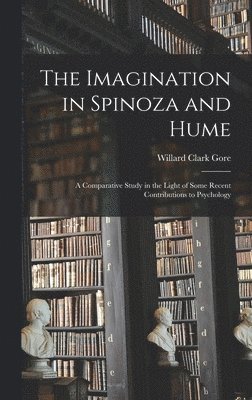 bokomslag Imagination in Spinoza and Hume
