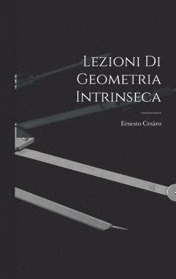 bokomslag Lezioni Di Geometria Intrinseca