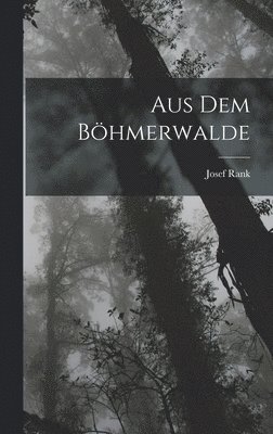 bokomslag Aus Dem Bhmerwalde