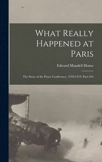 bokomslag What Really Happened at Paris