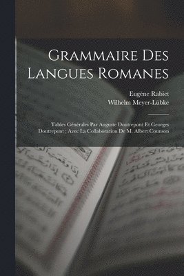 bokomslag Grammaire Des Langues Romanes