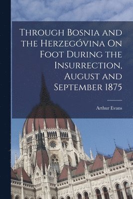 bokomslag Through Bosnia and the Herzegvina On Foot During the Insurrection, August and September 1875