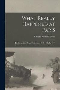 bokomslag What Really Happened at Paris