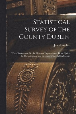 bokomslag Statistical Survey of the County Dublin