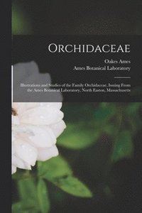 bokomslag Orchidaceae