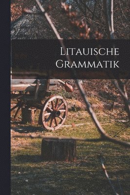 bokomslag Litauische Grammatik