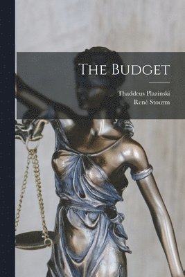 bokomslag Budget