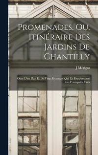bokomslag Promenades, Ou, Itinraire Des Jardins De Chantilly