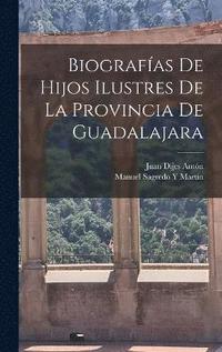 bokomslag Biografas De Hijos Ilustres De La Provincia De Guadalajara