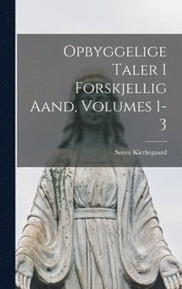 bokomslag Opbyggelige Taler I Forskjellig Aand, Volumes 1-3