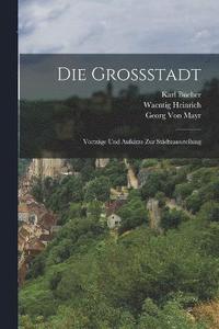 bokomslag Die Grossstadt