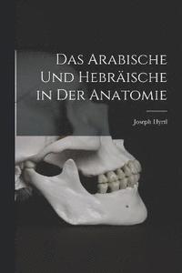 bokomslag Das Arabische Und Hebrische in Der Anatomie