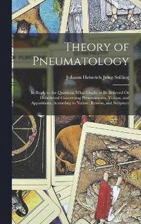 bokomslag Theory of Pneumatology