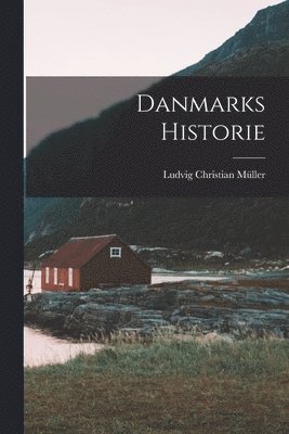 bokomslag Danmarks Historie