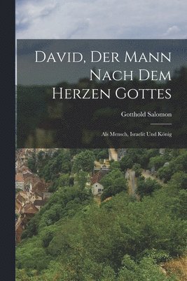 bokomslag David, Der Mann Nach Dem Herzen Gottes