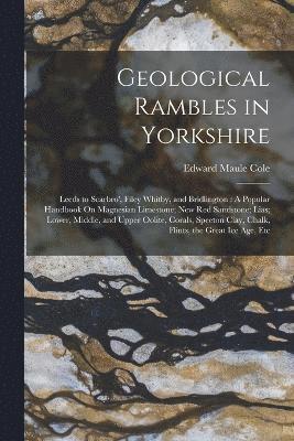 Geological Rambles in Yorkshire 1