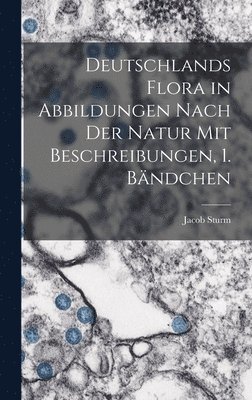 bokomslag Deutschlands Flora in Abbildungen nach der Natur mit Beschreibungen, 1. Bndchen