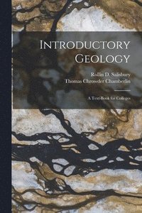 bokomslag Introductory Geology