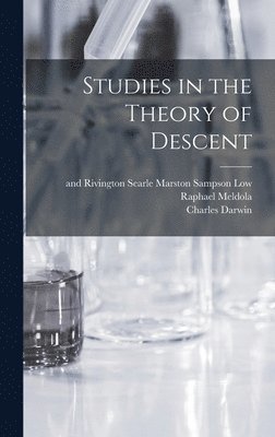 bokomslag Studies in the Theory of Descent