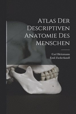 Atlas Der Descriptiven Anatomie Des Menschen 1