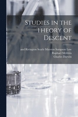 bokomslag Studies in the Theory of Descent