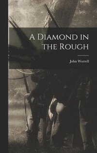 bokomslag Diamond in the Rough