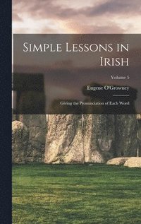 bokomslag Simple Lessons in Irish