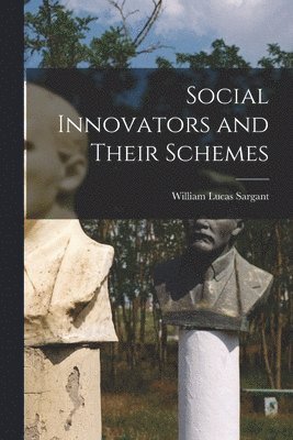 bokomslag Social Innovators and Their Schemes