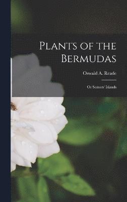 bokomslag Plants of the Bermudas