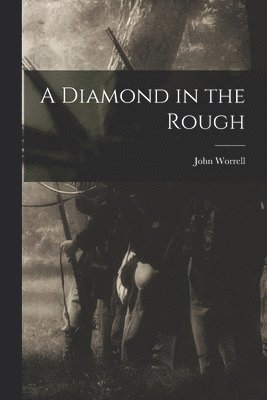 bokomslag Diamond in the Rough