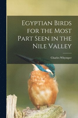 bokomslag Egyptian Birds for the Most Part Seen in the Nile Valley