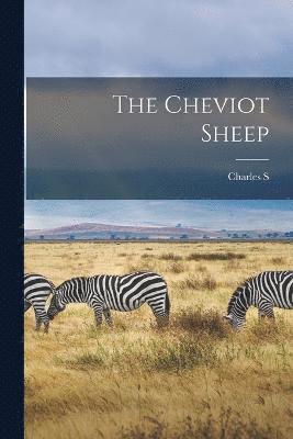 bokomslag Cheviot Sheep