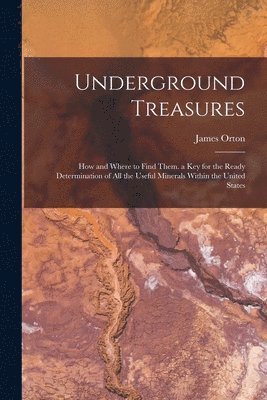 bokomslag Underground Treasures