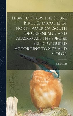 bokomslag How to Know the Shore Birds (Limicol) of North America (south of Greenland and Alaska) all the Species Being Grouped According to Size and Color