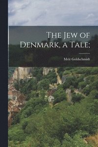bokomslag The Jew of Denmark, a Tale;